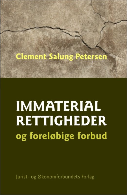 Immaterialrettigheder og foreløbige forbud