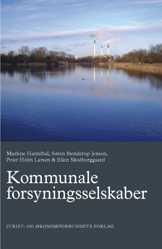Kommunale forsyningsselskaber
