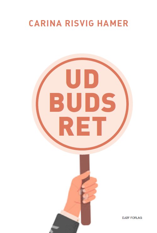 Udbudsret